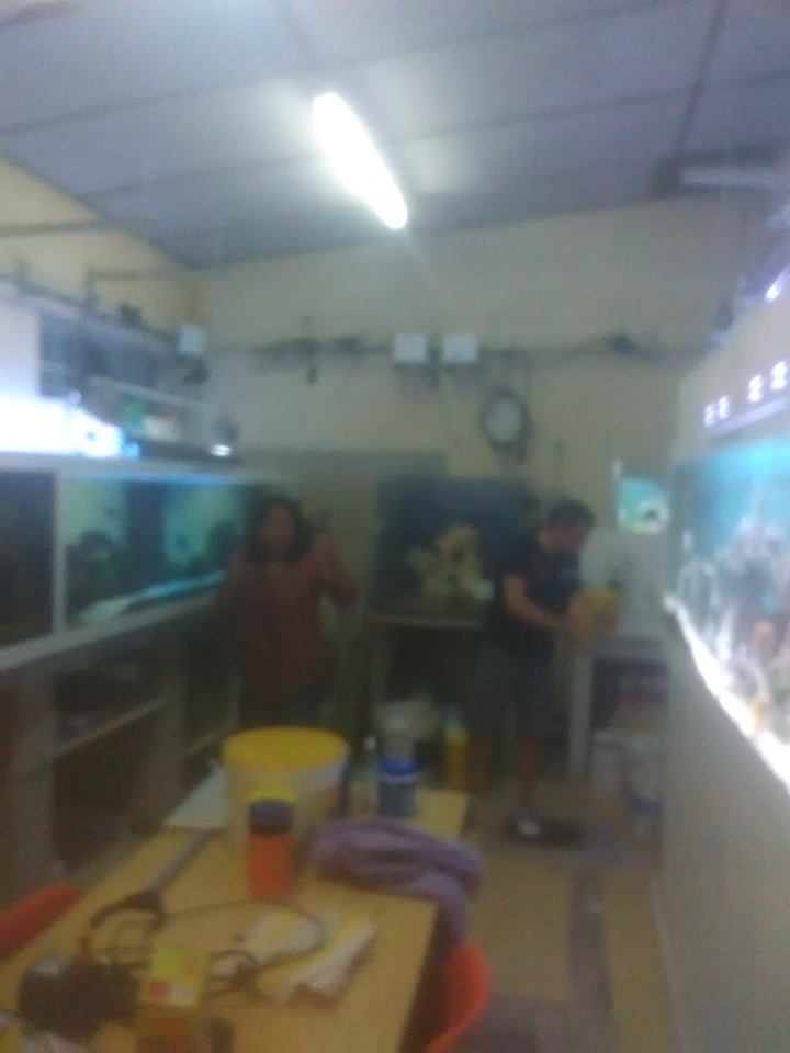 rangement aquariophile