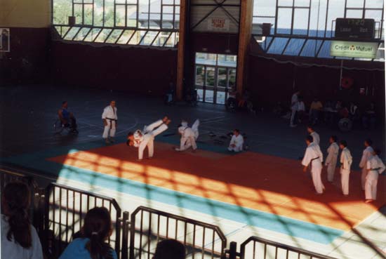 Démonstration de judo lors des journées 