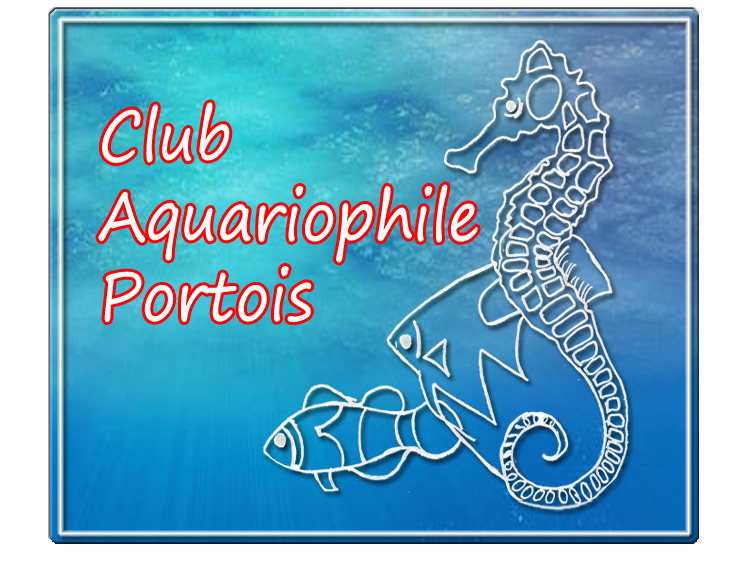 Logo de l'association Club aquariophilie portois