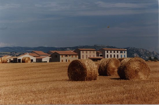 Vue des résidences d'Italie derrière les champs de blé